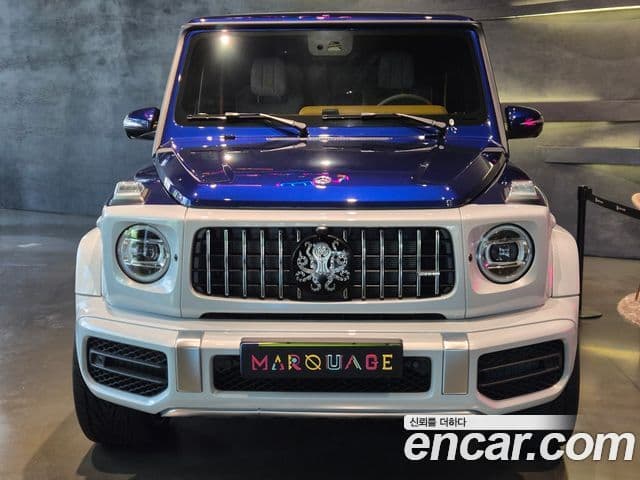 Mercedes-Benz G-Class W463b