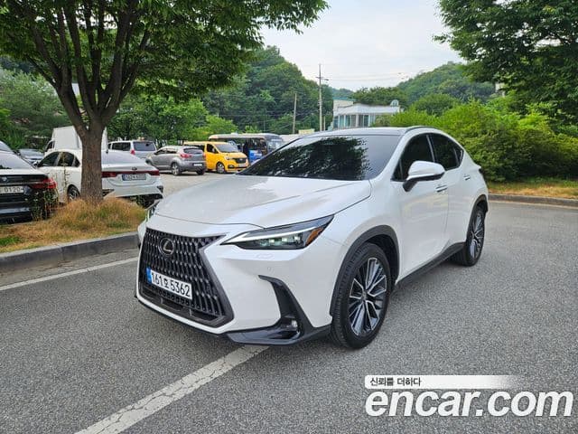 Lexus NX350h 2nd Gen