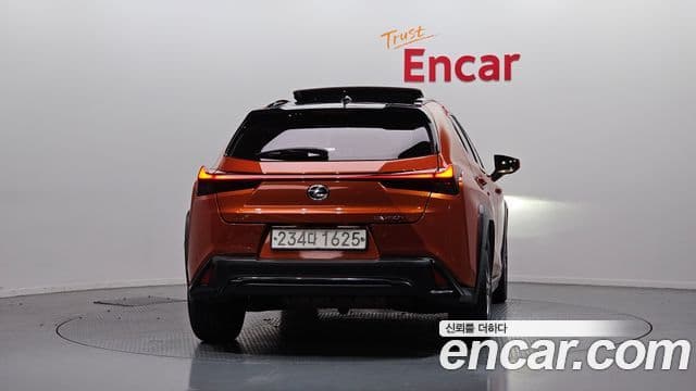 Lexus UX250h 4