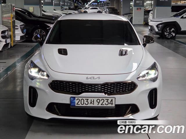 Kia Stinger Meister 4