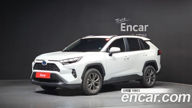 Toyota RAV4 5th Gen